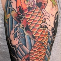 Color koi fish tattoo in asian style