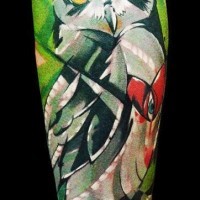 Tatuaggio grande sul braccio il gufo colorato sul fondo verde