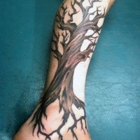 Colored big tree tattoo on leg