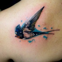 Colored bird tattoo on shoulder