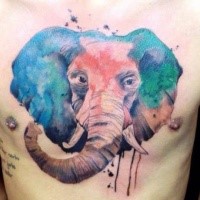 Colored chest tattoo of cool elephant