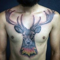 Colored engraving style chest tattoo of deer with maple leaf