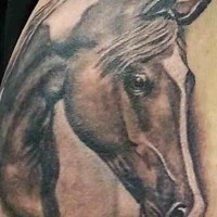 Colored horse head tattoo