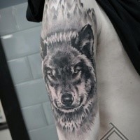 Colored illustrative style shoulder tattoo of evil wolf head