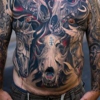 Colored large interesting looking chest and belly tattoo of demonic animal skulls