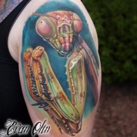 Colored mantis tattoo on half sleeve by Evan Olin
