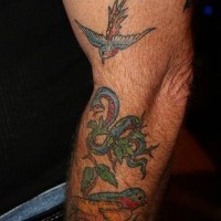 Colored oldschool tattoo with birds and snake