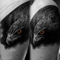 Farbiger realer Fotostil farbiges Schulter Tattoo von Adlerkopf