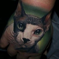 Colored very detailed hand tattoo of cute cat
