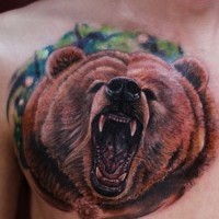 colorato testa di orso tatuaggio sulla scapola