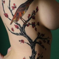 Colorful bird on a tree tattoo