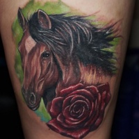 Colorful dark horse head with red rose tattoo