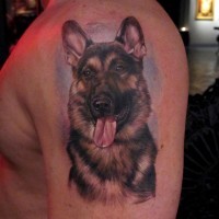 Colorful german shepherd face tattoo for man