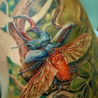 Tatuaje en el hombro, escarabajo en la naturaleza