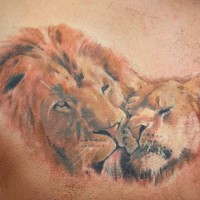 Colorful lion tenderness tattoo on chest