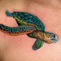 Tatuaje en el pecho, 
tortuga hermosa volumétrica