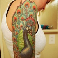 Bunter Pfau Vogel-Tattoo am Unterarm