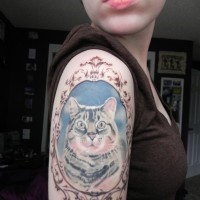 Colorful portrait of a cat in a frame tattoo on shoulder