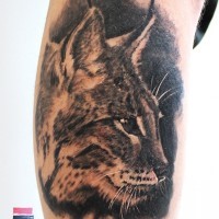 Colorful portrait of lynx tattoo on arm