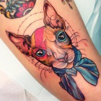 Colorful portrait of sphinx cat tattoo by Katie S