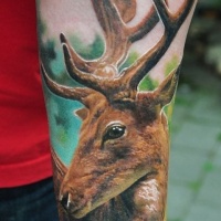 Colorful realistic deer tattoo on arm by Den Yakovlev