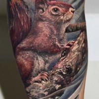 realistico colorato scoiattolo tatuaggio