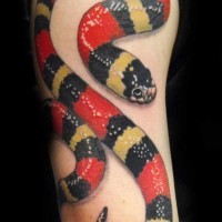 Red and black snake tattoo on arm