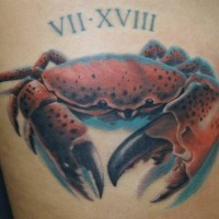 Colour ink crab tattoo image