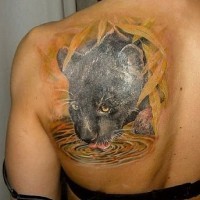 Coloured black panther drinking water tattoo on shoulder blade