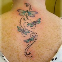 Coloured dragonflies and floral tattoo on back