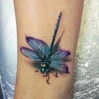Coloured nice dragonfly tattoo