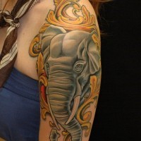 colorato bel elefante tatuaggio a mezza manica