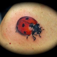 Coloured nice ladybug tattoo