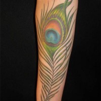Tatuaje en el antebrazo,
pluma grande hermosa de pavo real