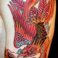 Coloured phoenix tattoo on arm by chris nunez