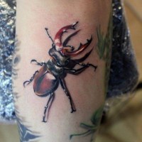 Tatuaggio realistico sul braccio l'insetto  by Andrzej Niuniek