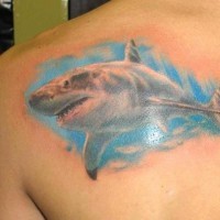 squalo colorato tatuaggio sulla scapola
