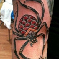 Coloured spider tattoo by andrea furci