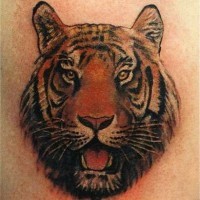 Coloured tiger head tattoo