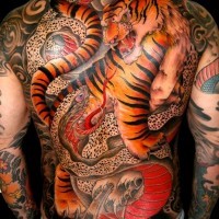 Coloured tiger with snake tattoo on back in asian style