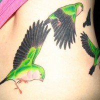 Tatuaje  de aves verdes con alas negras