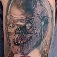 Cool colored very detailed monster portrait tattoo on arm