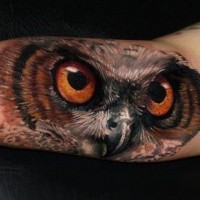 Cool colorful owl tattoo by Carlox Angarita