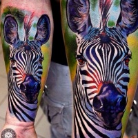 Cool colorful zebra forearm tattoo