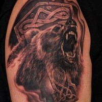 fresca idea di orso muso aperto tatuaggio sulla spalla
