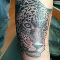 Cool jaguar tattoo on arm for boys