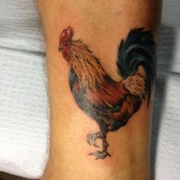 Tatuaje en el tobillo, gallo abigarrado realista