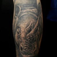 fresco realistico ritratto rinoceronte tatuaggio su gamba