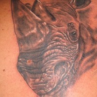 fresco rinoceronte tatuaggio con ombra per uomo