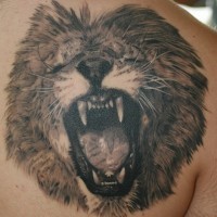 Cool roaring lion tattoo on chest